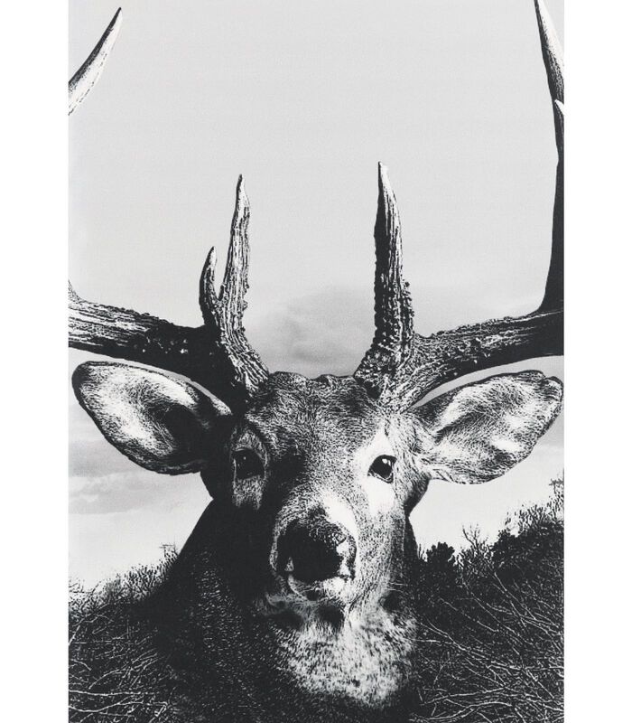Legendary Buck Gray Gaiter image number 1
