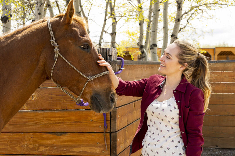 Women's Two Pack Knit Tank Tops image number 3