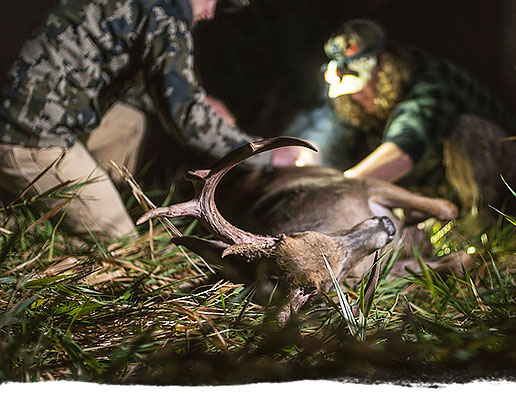 Follow The Hunting Public on YoutTube for hunting content Follow THP on YouTube