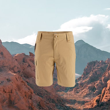 Men's Quick Dry Stretch Flat Front Casual Hiking Shorts