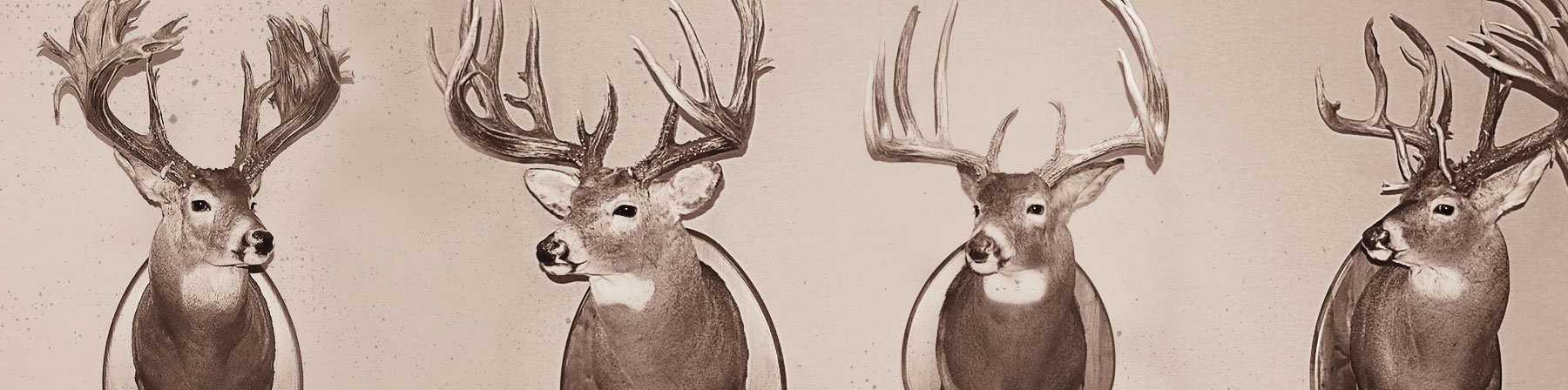 Satisfaction Guarantee | Legendary Whitetails Satisfaction Guarantee