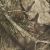 Army Mossy Oak Coyote