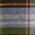Fireside Plaid